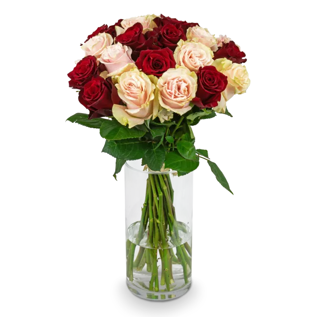 Bouquet of pink and red roses